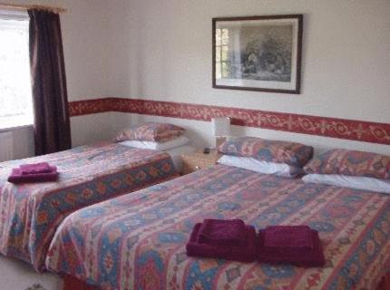 The Cranley Hotel كرانلاي المظهر الخارجي الصورة